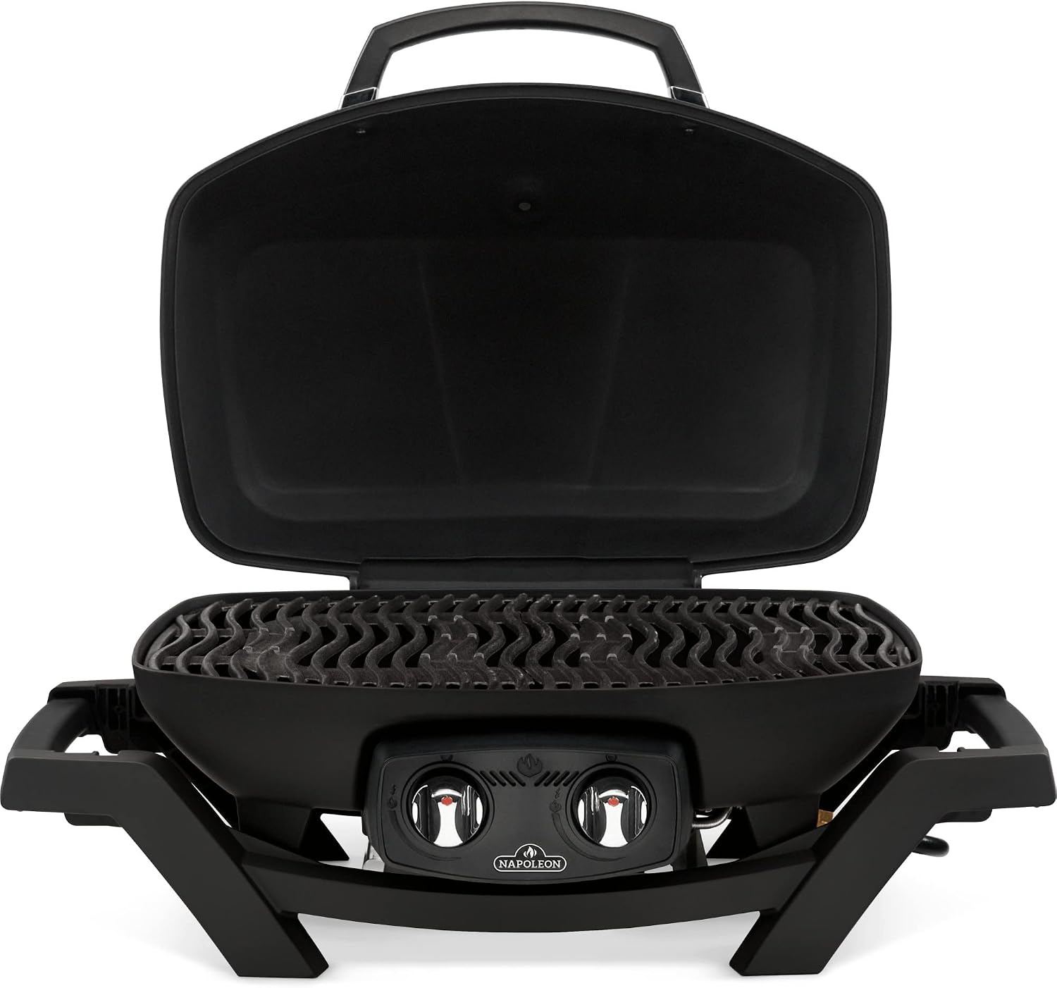 Portable 2-Burner Gas Grill Black