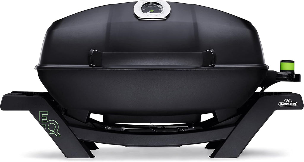 Portable 2-Burner Gas Grill Black
