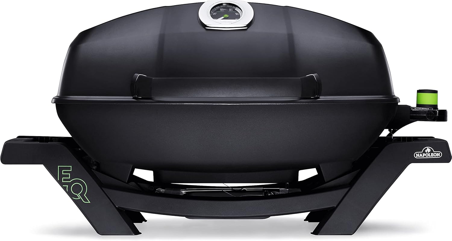Portable 2-Burner Gas Grill Black
