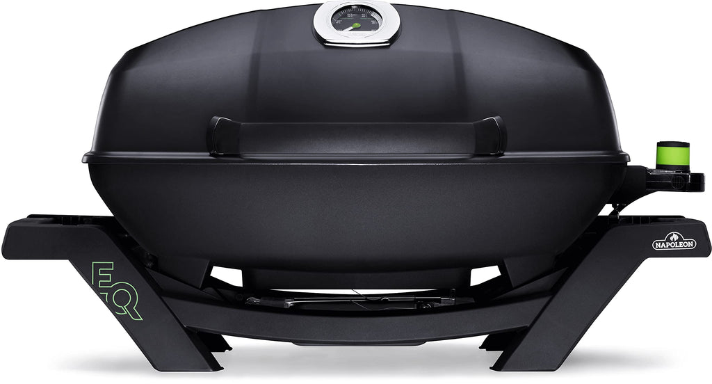 Portable 2-Burner Gas Grill Black