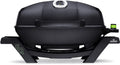 Portable 2-Burner Gas Grill Black
