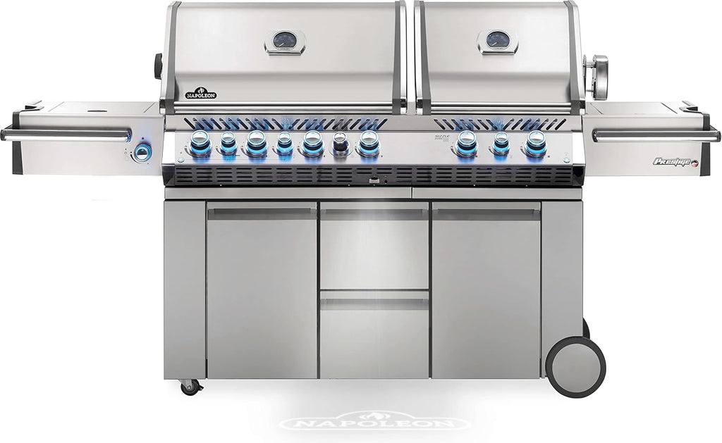 Stainless Steel Propane Gas Grill
