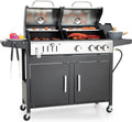 Dual Fuel Propane Charcoal Grill