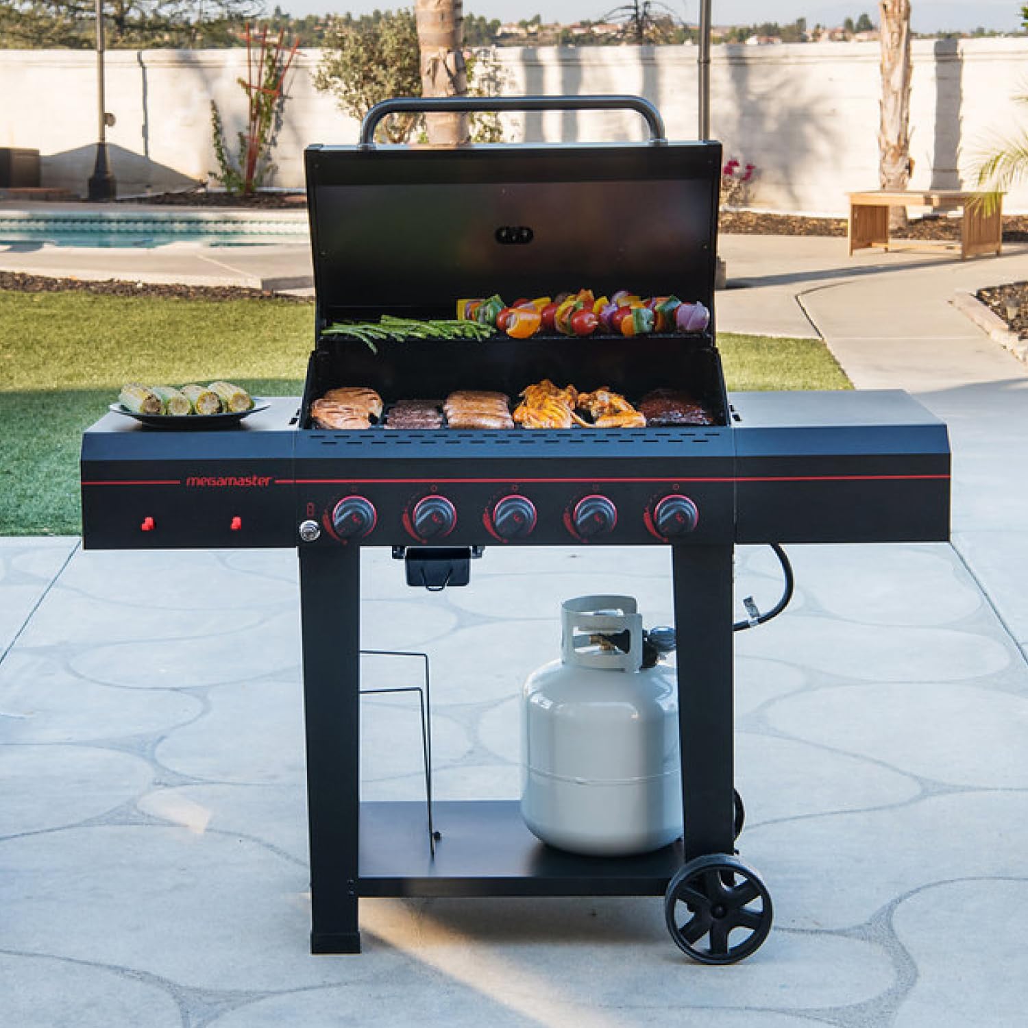 720-0982 5-Burner Propane Grill