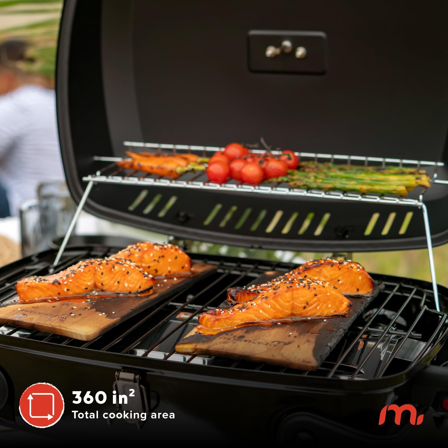 Megamaster Single Burner Gas Grill