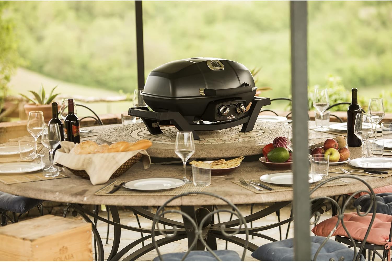 Portable 2-Burner Gas Grill Black