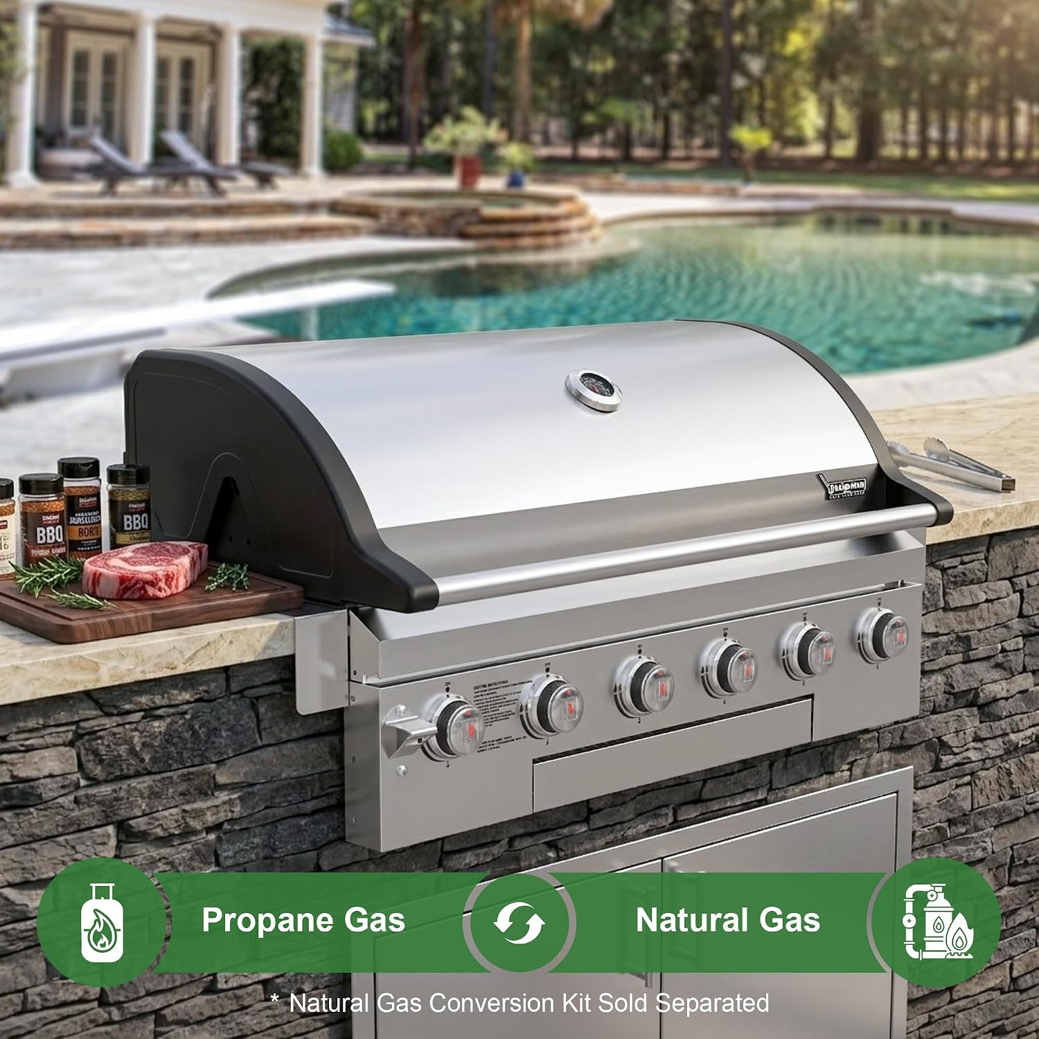 6-Burner Stainless Built-In Grill