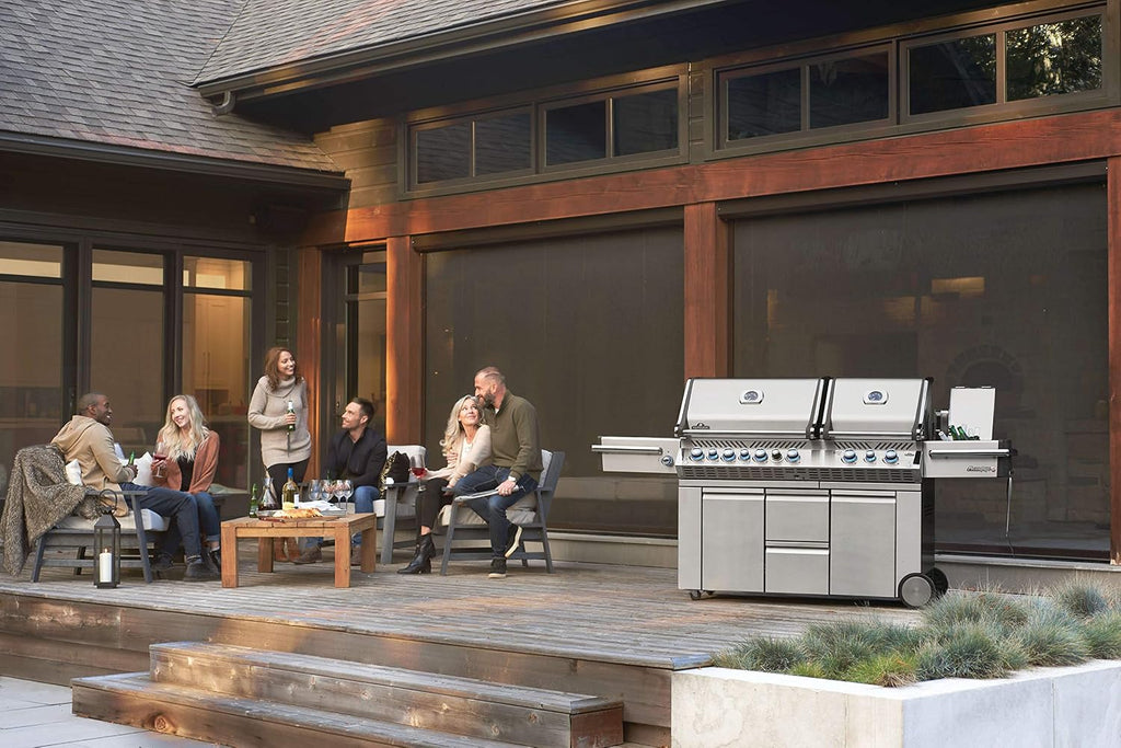 Stainless Steel Propane Gas Grill