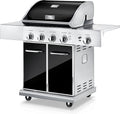 5-Burner Stainless Propane Grill